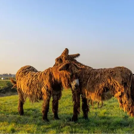 House Ocean Ile De Re Casa de Férias Le Bois-Plage-en-Ré